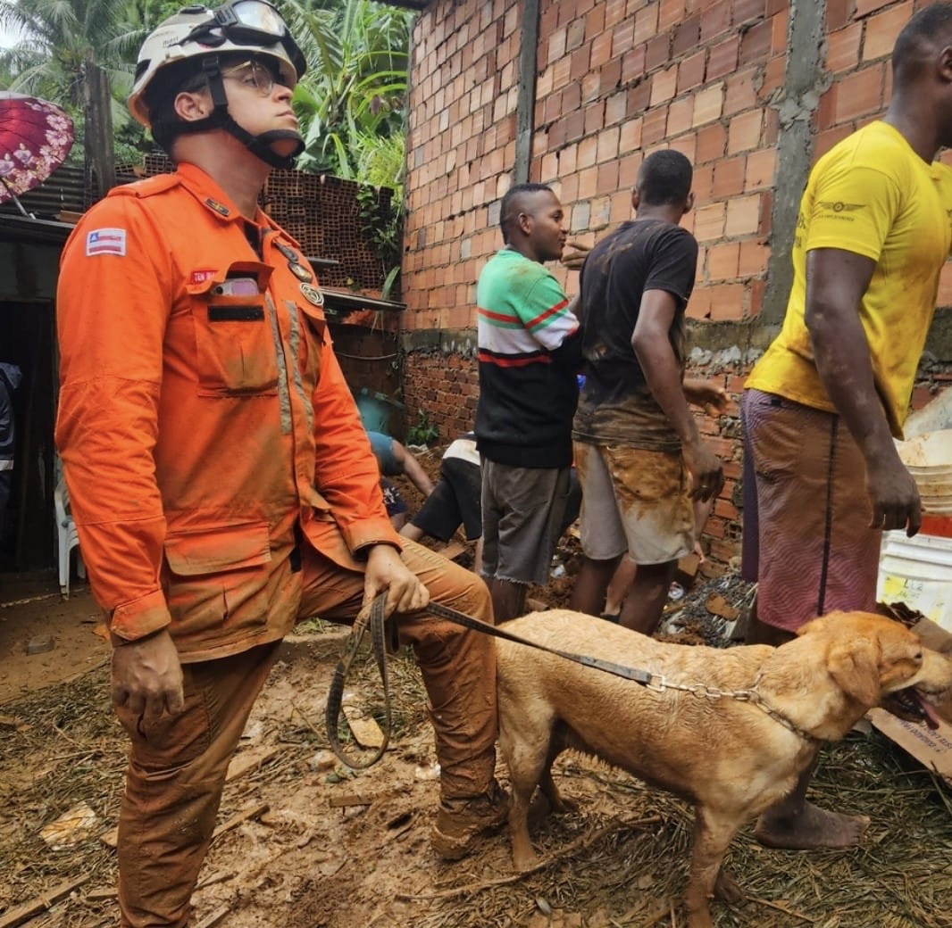 Capa: Resgate de vítimas em Salvador evidencia trabalho especializado de bombeiros militares