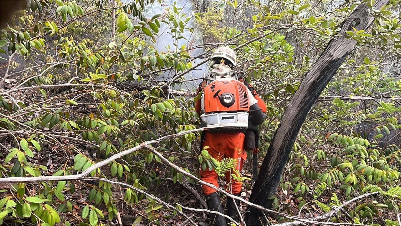 Capa: Bombeiros militares permanecem combatendo incêndio florestal na Chapada Diamantina