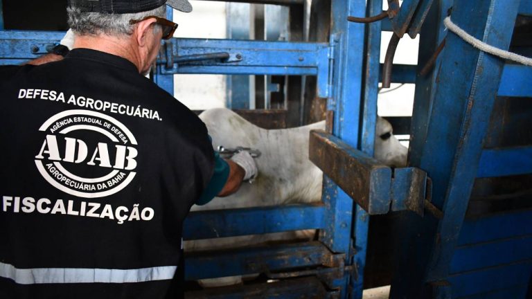 Capa: Jerônimo Rodrigues anuncia concurso público com 200 vagas para o setor agropecuário