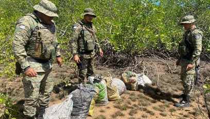 Capa: Após apreensão, Polícia Militar e órgãos ambientais reintegram caranguejos à natureza