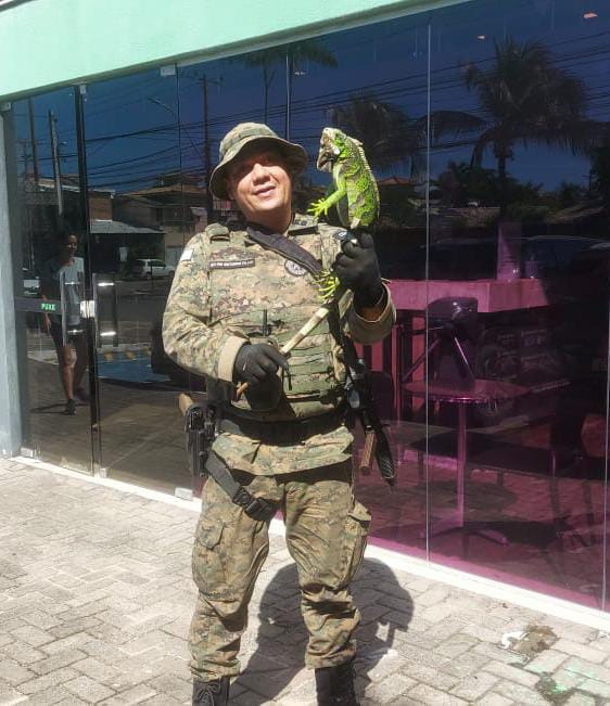 Capa: Iguana é resgatada pela PM em Stella Maris
