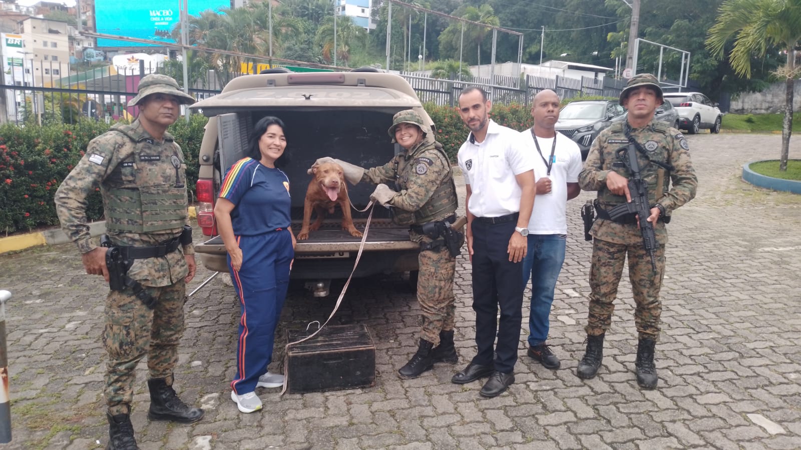 Capa: Cão com sinais de maus tratos é resgatado pela PM na Bonocô